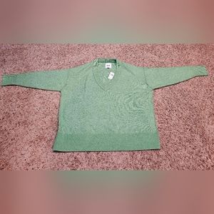 Aerie Unreal V-Neck Sweater. Never Worn.  Size M